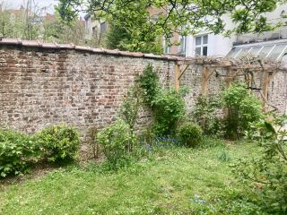 Plants for a cottage garden border