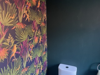 To ask to see your downstairs toilet wallpaper?