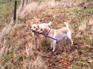 Do you remember this Mumsnet story…?  Update