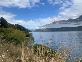 The Great Cancer Recovery part 5