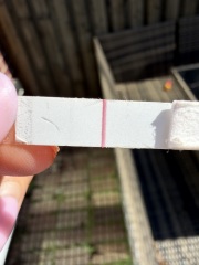 Can anyone else see a faint line on this test?