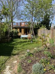 In a pickle about a pear tree - help!