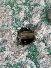 Baffled by gunk (following fitting of artificial grass)