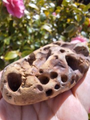 Year Round Nigel Slater discussion thread - Part 4