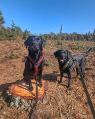 Beyond Adolescence and General Chit Chat - part 3