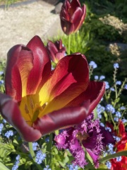 Year Round Nigel Slater discussion thread - Part 4