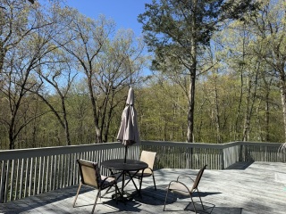 Come and tell us your dull and unexciting news 35: Calmly through the day