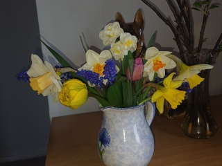 Just Supporting (Continued)