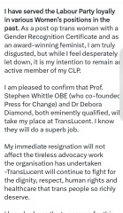 Translucent's Steph Richards to sue the labour party.