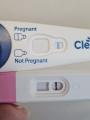 Different pregnancy test results from the same urine sample