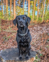 Beyond Adolescence and General Chit Chat - part 3