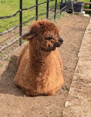 Year round Nigel Slater discussion thread - Part 3