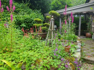 Conservatory, garden room or extension for a small rear addition?