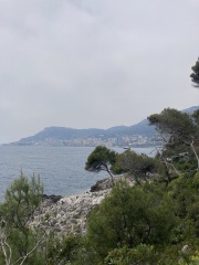 Year Round Nigel Slater discussion thread - Part 4