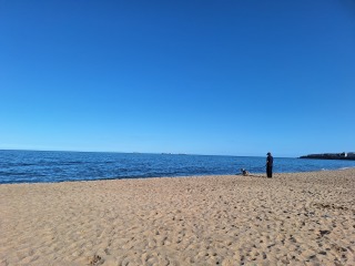 Year Round Nigel Slater discussion thread - Part 4