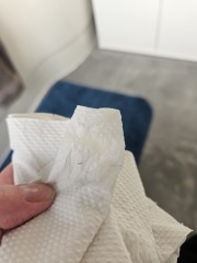 TMI - mucus plug or just discharge?