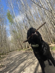 Beyond Adolescence and General Chit Chat - part 3