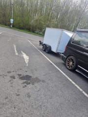 I have 10 guests coming for over a week...