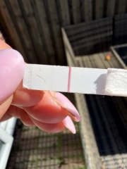 Can anyone else see a faint line on this test?