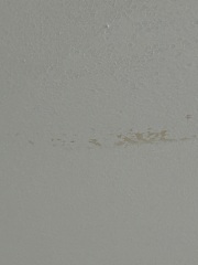 AIBU to feel furious after my father ruined my new home?