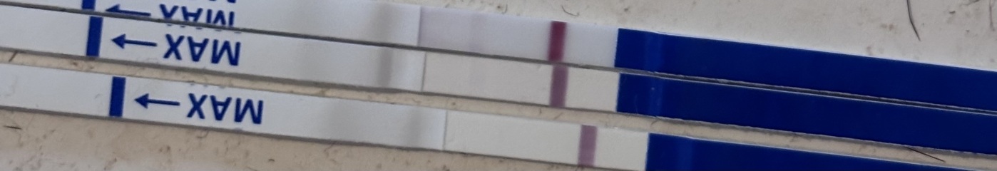 Evap line or pregnancy?