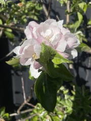 Year Round Nigel Slater discussion thread - Part 4