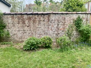 Plants for a cottage garden border