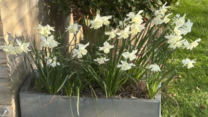 Just Supporting (Continued)