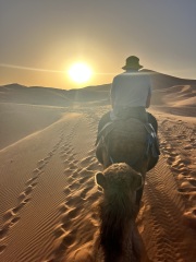 Middle age (lighthearted)