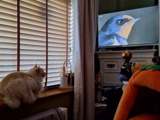 Year Round Nigel Slater discussion thread - Part 4