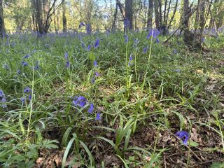 Keep On Exercising 2