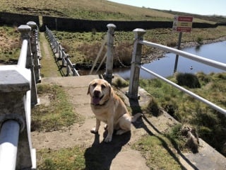 Do you remember this Mumsnet story…?  Update