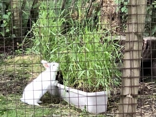 Do you remember this Mumsnet story…?  Update