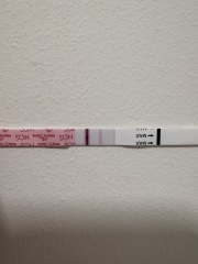 9DP5DT - fresh transfer - Does this line look okay or a chemical?