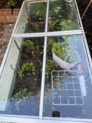 Year Round Nigel Slater discussion thread - Part 4