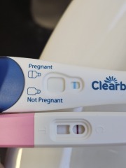 Different pregnancy test results from the same urine sample
