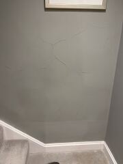 Which trade do I need? Damp issue.