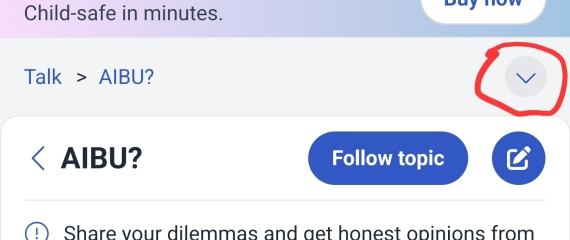 AIBU to avoid a playdate because of the parent’s social media ?