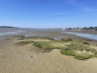 Is Devon or Dorset really as lovely as it seems?