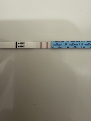 Confused by conflicting ovulation dates on Premom and Fertility Friend