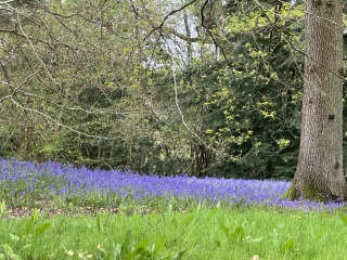 Year Round Nigel Slater discussion thread - Part 4