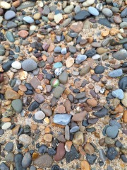 Year round Nigel Slater discussion thread - Part 3