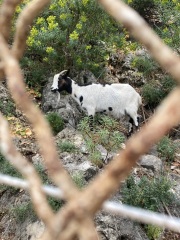 Year Round Nigel Slater discussion thread - Part 4