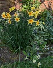 Year round Nigel Slater discussion thread - Part 3