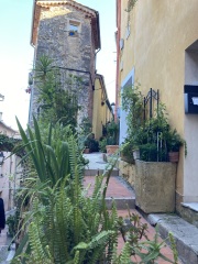 Year round Nigel Slater discussion thread - Part 3