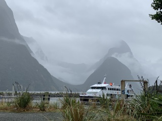 The Great Cancer Recovery part 5