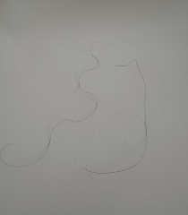 Anyone else noticed darker wiry hairs appearing after pregnancy or with age?