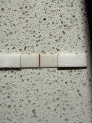 Can anyone else see a faint line on this test?