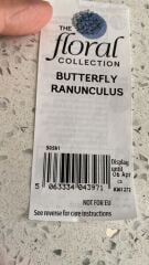 Do you think I’d manage to take these flowers four hours on a train?