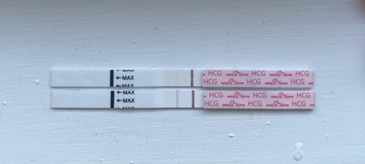 Lost my first one at 5 weeks. Pregnant again and struggling with anxiety